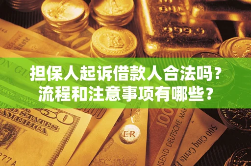北京担保人起诉借款人合法吗？流程和注意事项有哪些？