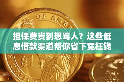 北京担保费贵到想骂人？这些低息借款渠道帮你省下冤枉钱