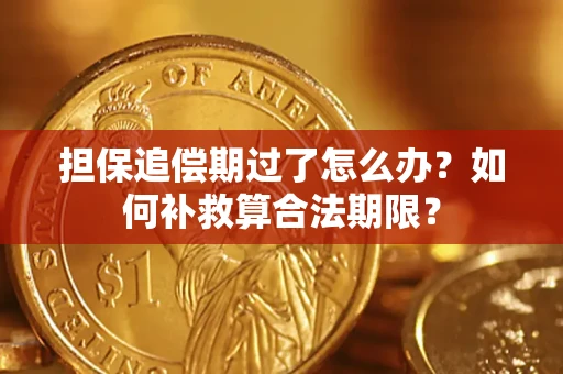 北京担保追偿期过了怎么办？如何补救算合法期限？
